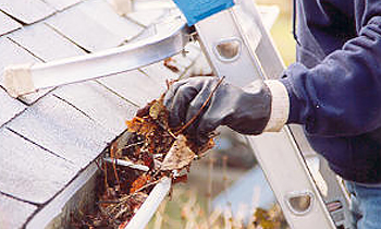 Gutter Cleaning in Pittsburgh PA Gutter Cleaning Services in Pittsburgh PA Cheap Gutter Cleaning in Pittsburgh PA Cheap Gutter Services in Pittsburgh PA Quality Gutter Cleaning in Pittsburgh PA Gutter Cleaning in PA Pittsburgh Gutter Cleaning Services in Pittsburgh PA Gutter Cleaning Services in PA Pittsburgh Gutter Cleaning in PA Pittsburgh Clean the gutters in Pittsburgh PA Clean gutters in PA Pittsburgh Gutter cleaners in Pittsburgh PA Gutter cleaners in PA Pittsburgh Gutter cleaner in Pittsburgh PA Gutter cleaner in PA Pittsburgh Affordable Gutter Cleaning in Pittsburgh PA Cheap Gutter Cleaning in Pittsburgh PA Affordable Gutter Services in Pittsburgh PA